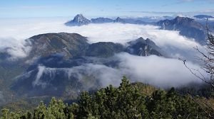 Foto vom Feuerkogel, Nebel, der Gipfel auch vom Berg Fahrnaugupf und Traunstein